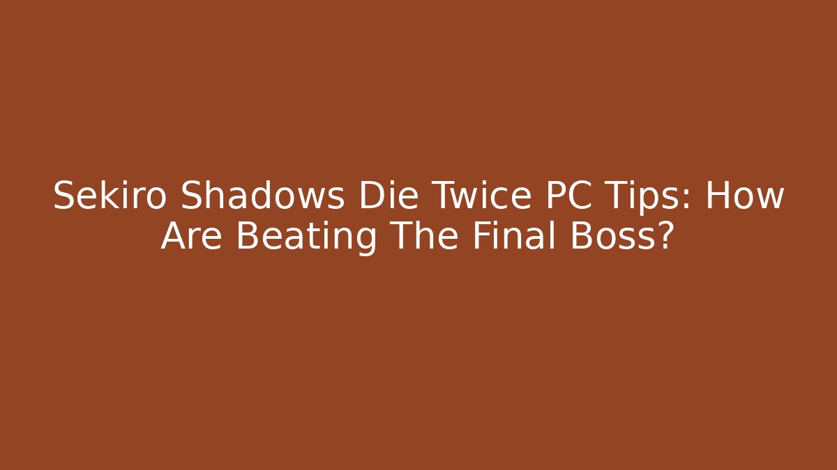 Sekiro Shadows Die Twice PC Tips: How Are Beating The Final Boss?