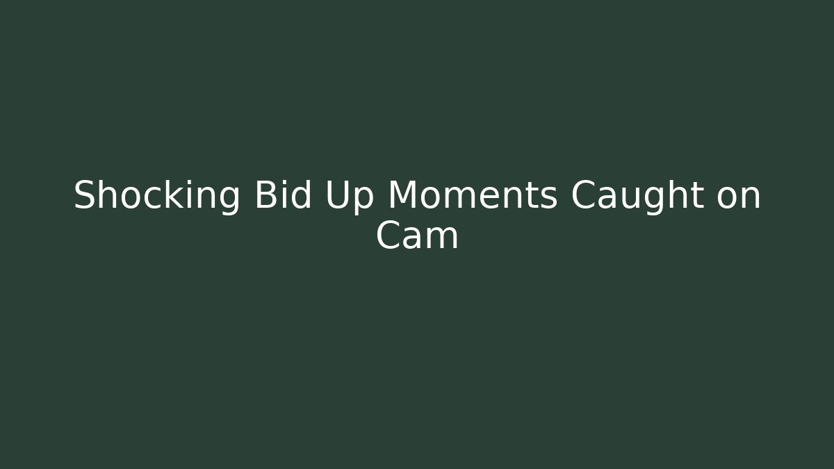 Shocking Bid Up Moments Caught on Cam - Create More Assets