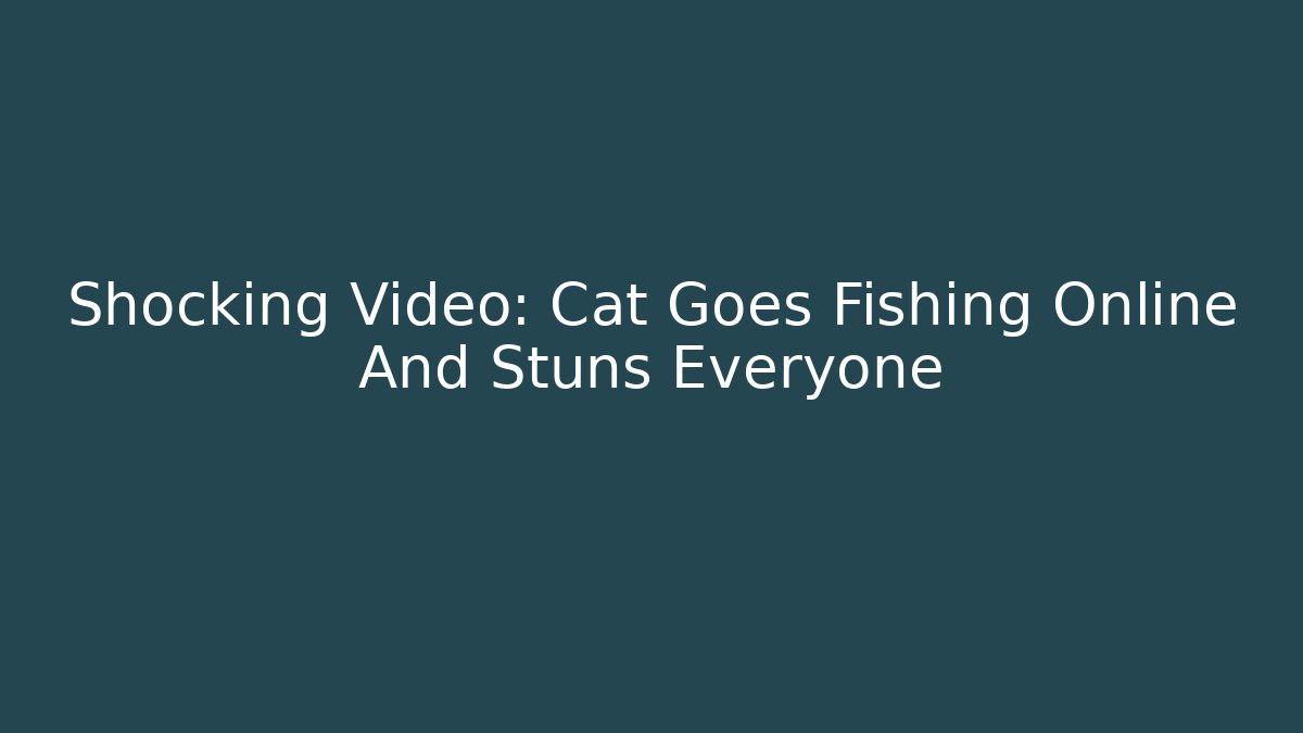 Shocking Video: Cat Goes Fishing Online And Stuns Everyone