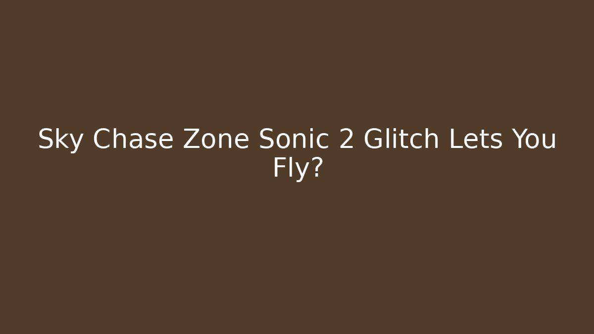 Sky Chase Zone Sonic 2 Glitch Lets You Fly?