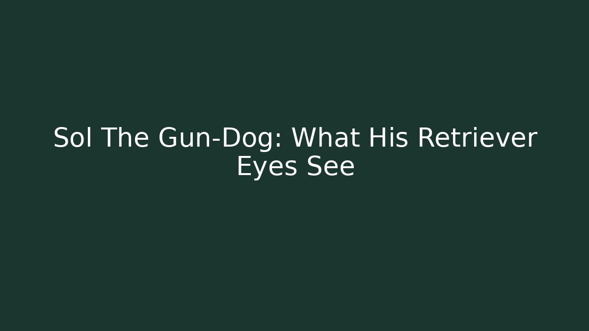 Sol The Gun-Dog: What His Retriever Eyes See