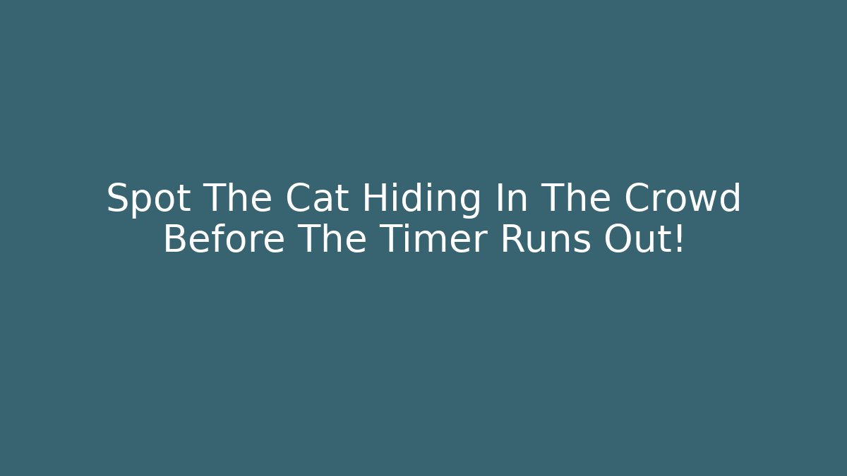 Spot The Cat Hiding In The Crowd Before The Timer Runs Out!