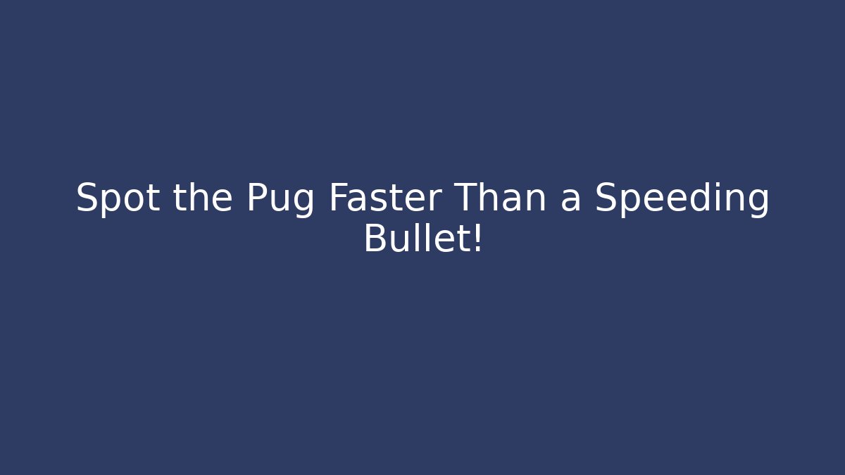 Spot the Pug Faster Than a Speeding Bullet!