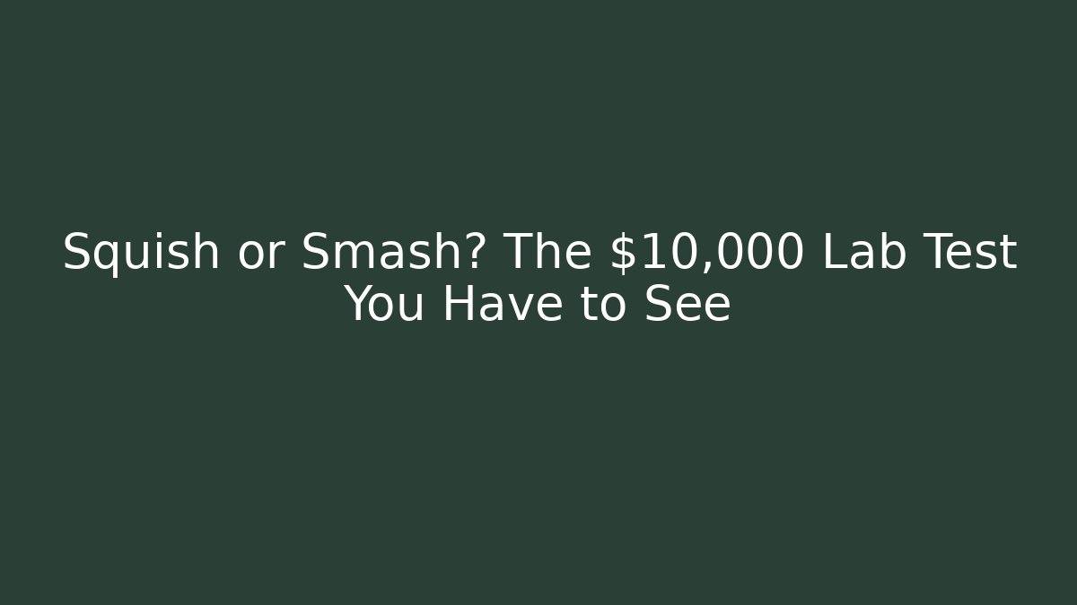 Squish or Smash? The $10,000 Lab Test You Have to See