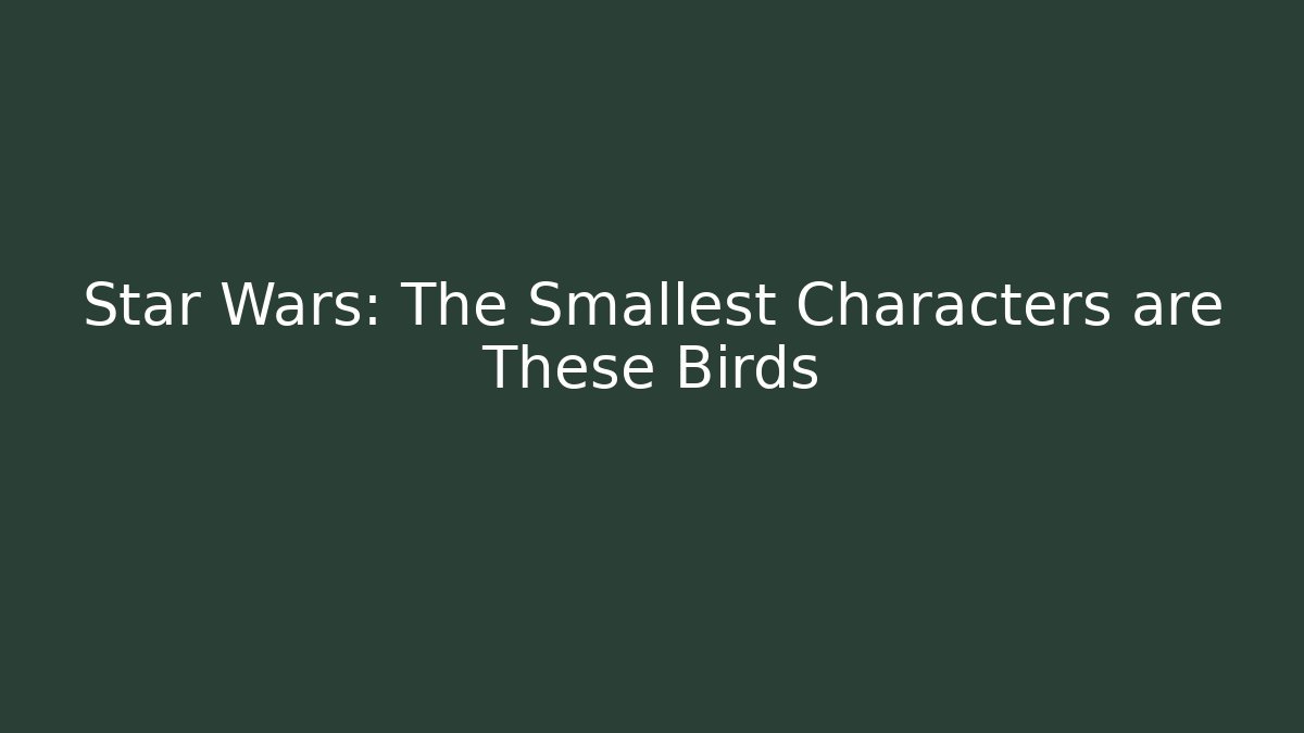 Star Wars: The Smallest Characters are These Birds - Create More Assets