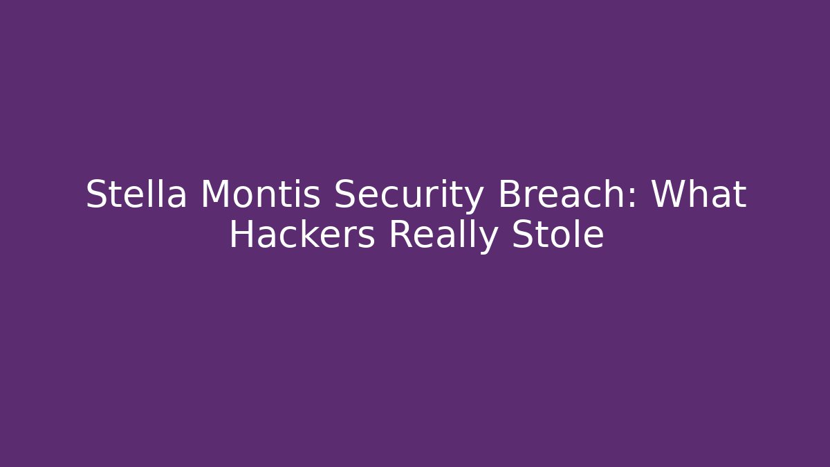 Stella Montis Security Breach: What Hackers Really Stole