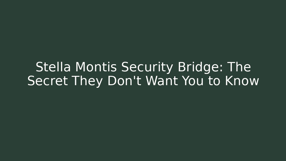 Stella Montis Security Bridge: The Secret They Don’t Want You to Know