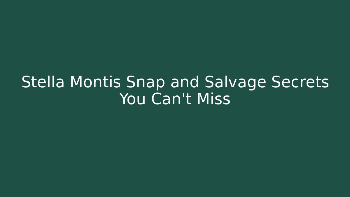 Stella Montis Snap and Salvage Secrets You Can't Miss