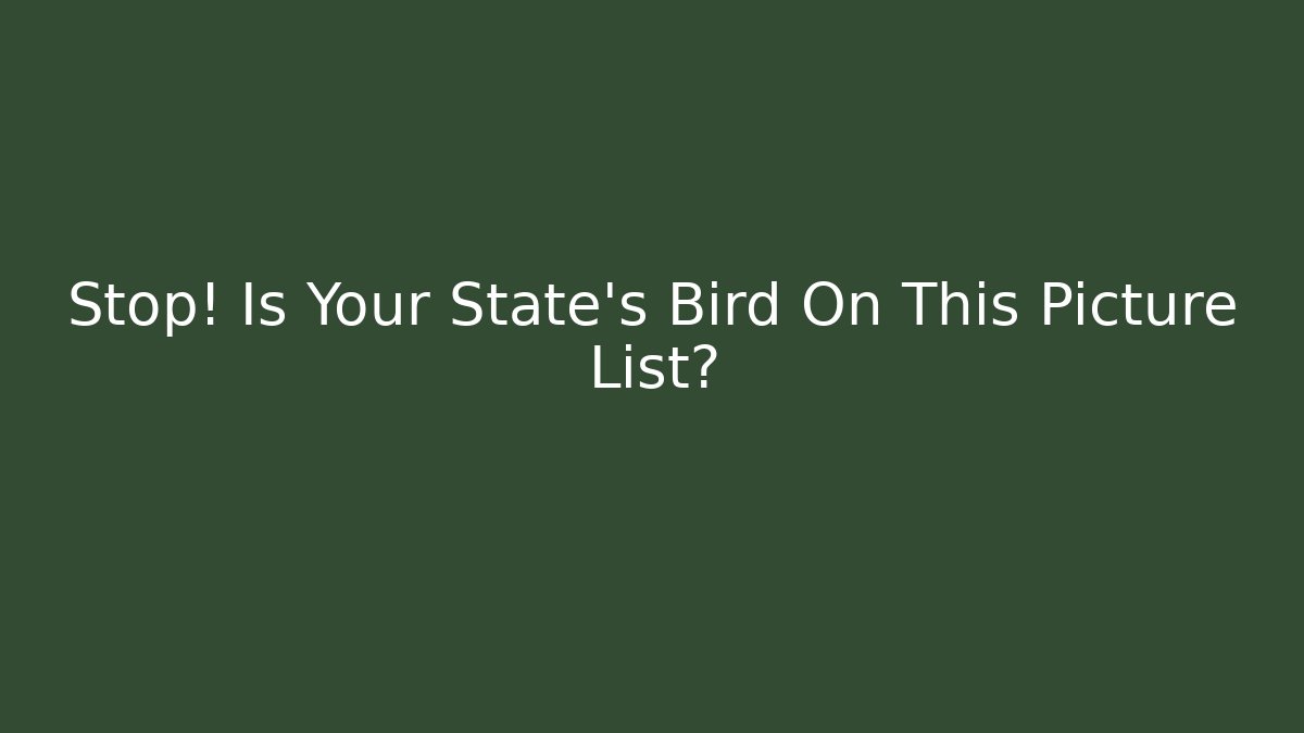 Stop! Is Your State's Bird On This Picture List?