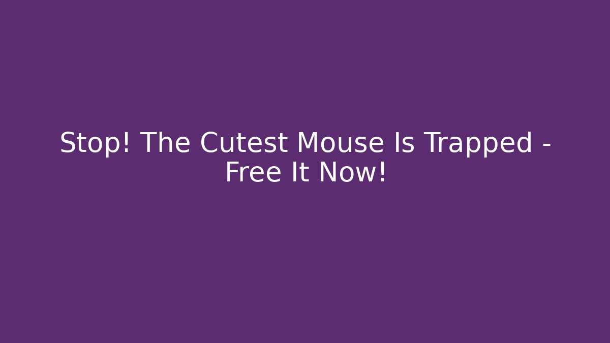 Stop! The Cutest Mouse Is Trapped – Free It Now!
