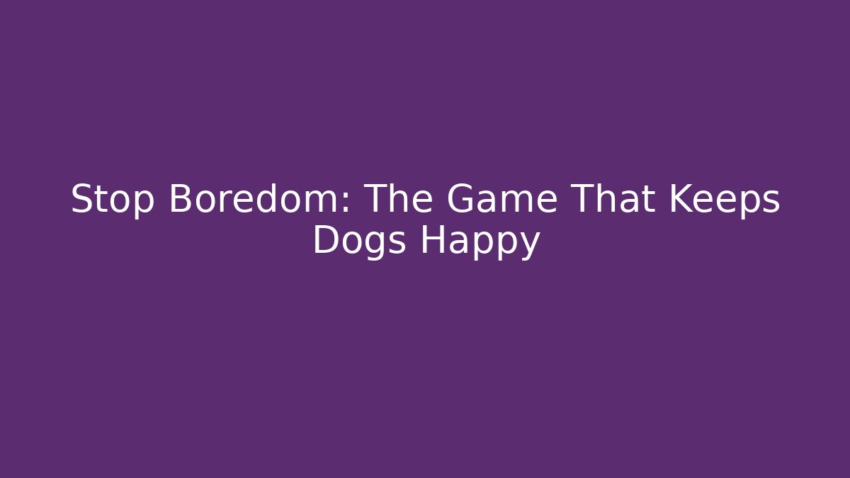 Stop Boredom: The Game That Keeps Dogs Happy - Create More Assets