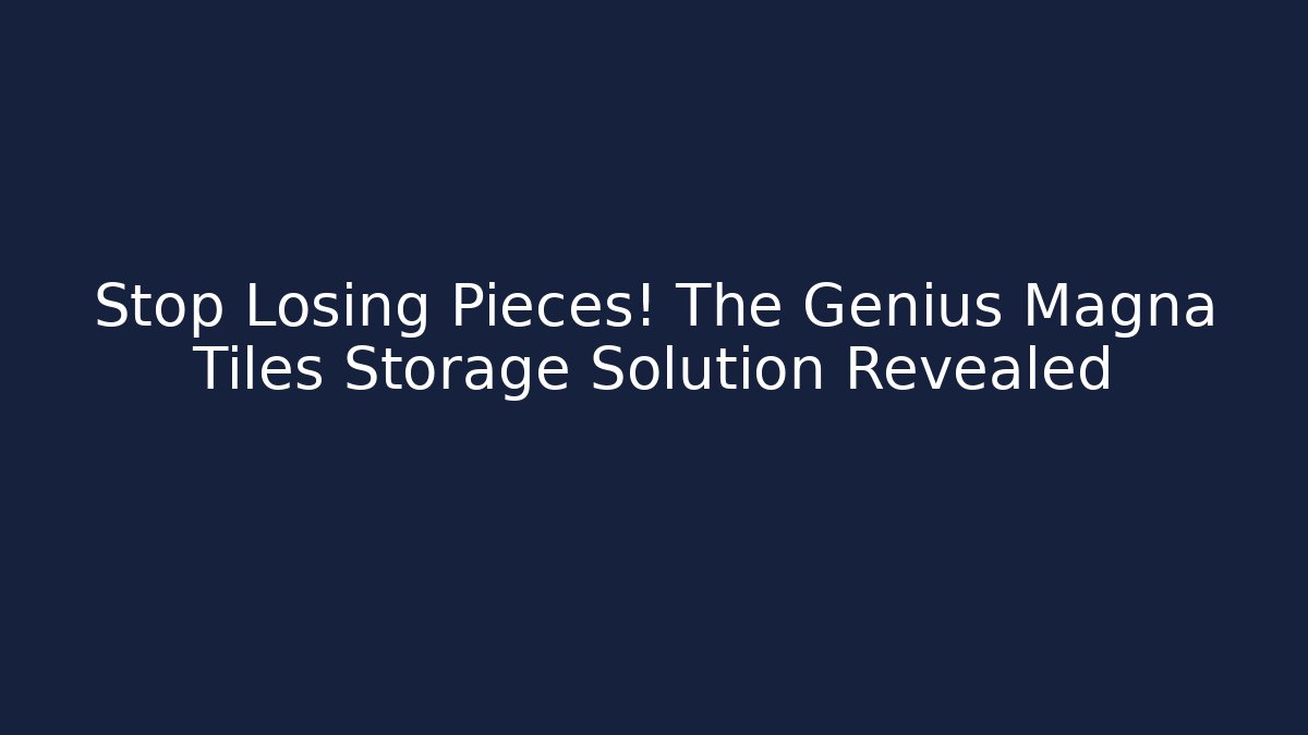 Stop Losing Pieces! The Genius Magna Tiles Storage Solution Revealed