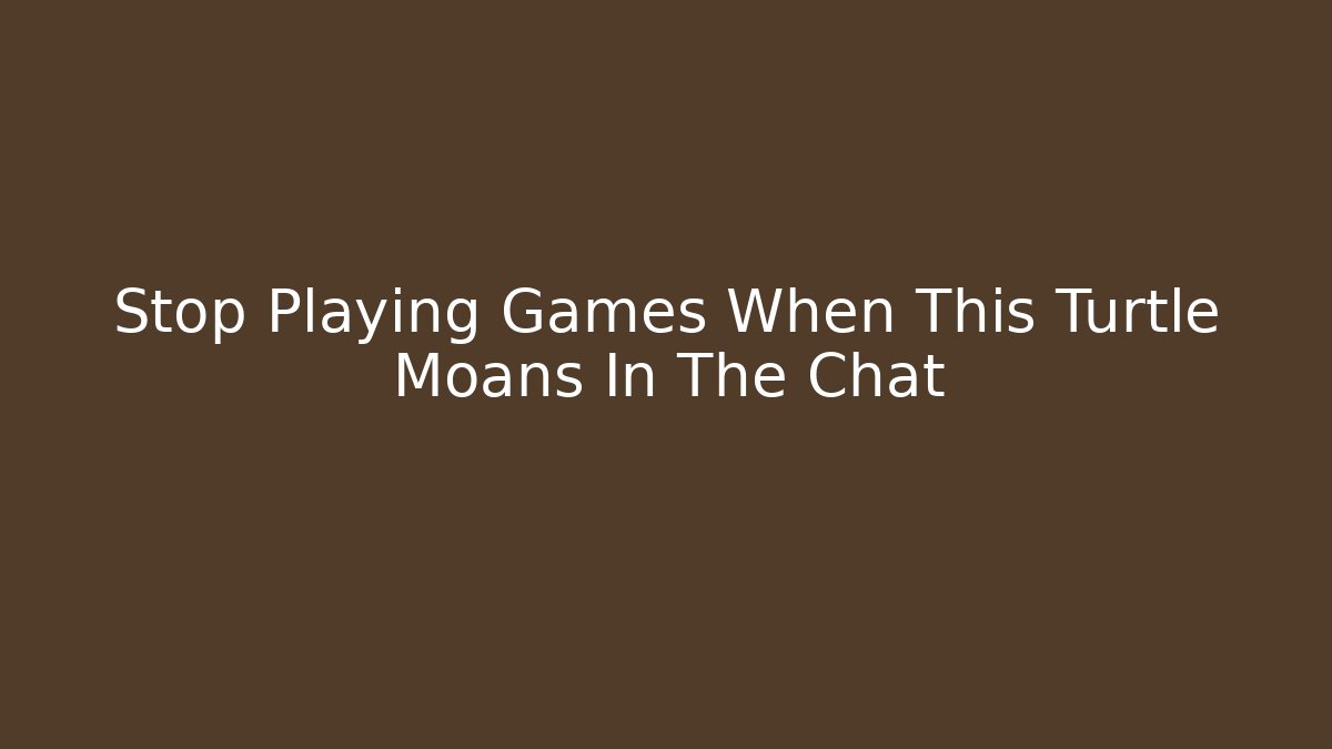 Stop Playing Games When This Turtle Moans In The Chat - Create More Assets