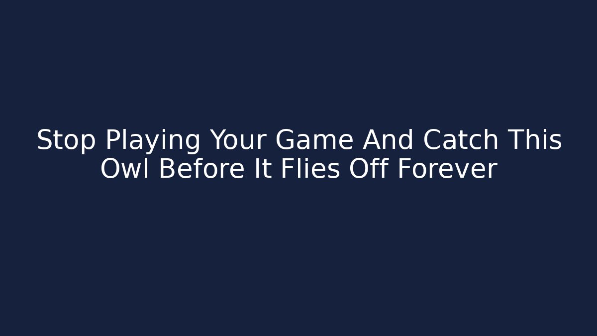 Stop Playing Your Game And Catch This Owl Before It Flies Off Forever