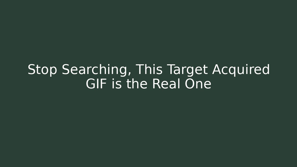 Stop Searching, This Target Acquired GIF is the Real One