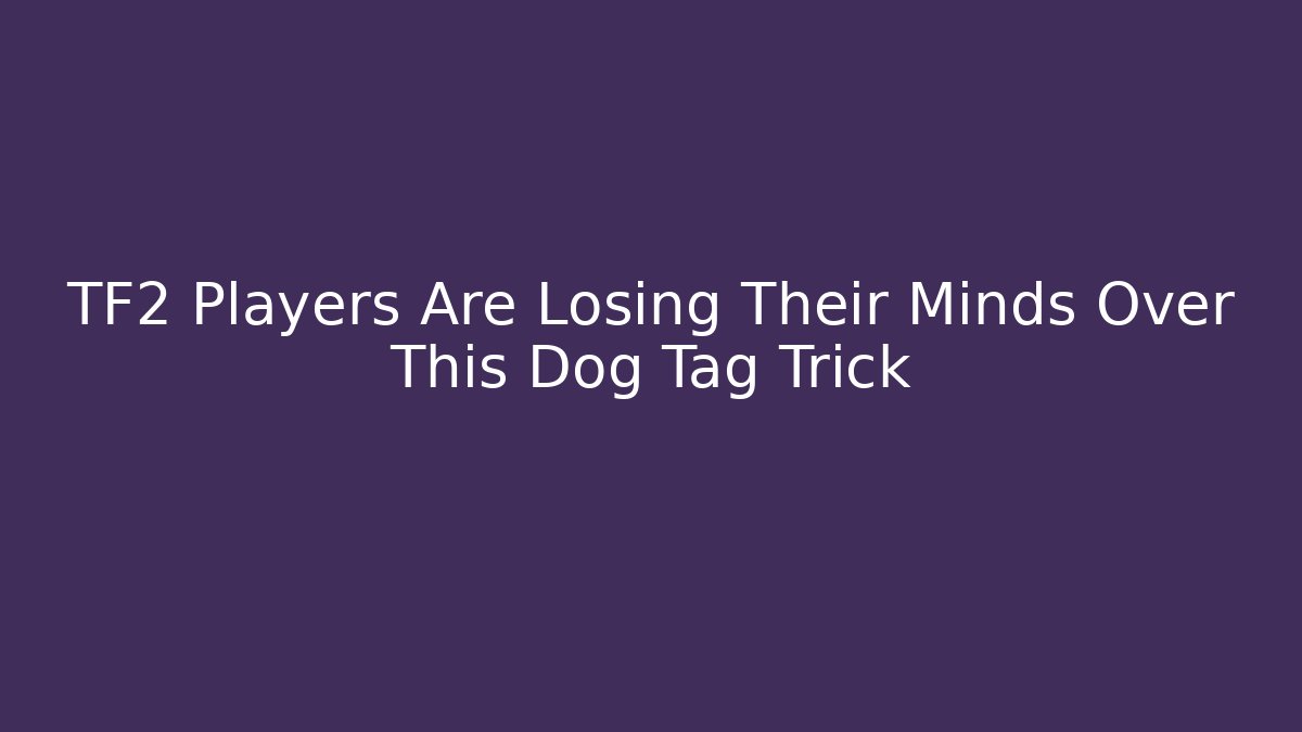 TF2 Players Are Losing Their Minds Over This Dog Tag Trick