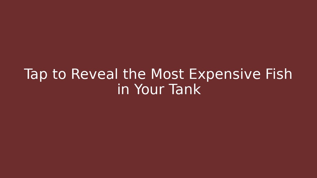 Tap to Reveal the Most Expensive Fish in Your Tank
