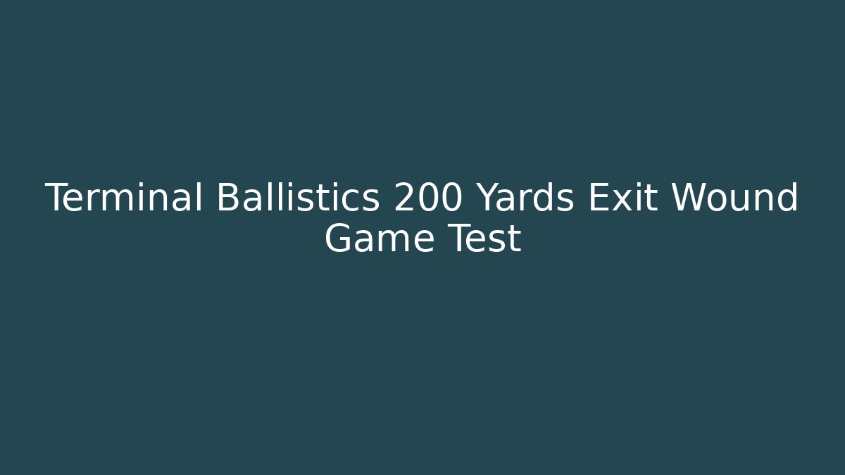 Terminal Ballistics 200 Yards Exit Wound Game Test - Create More Assets