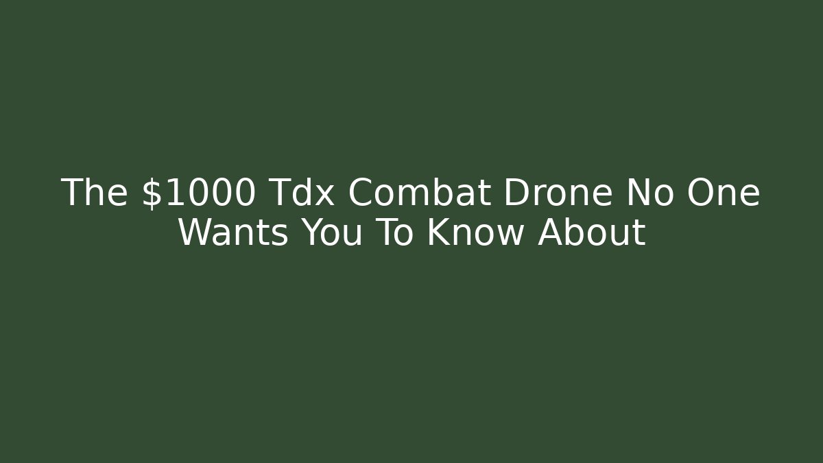 The $1000 Tdx Combat Drone No One Wants You To Know About