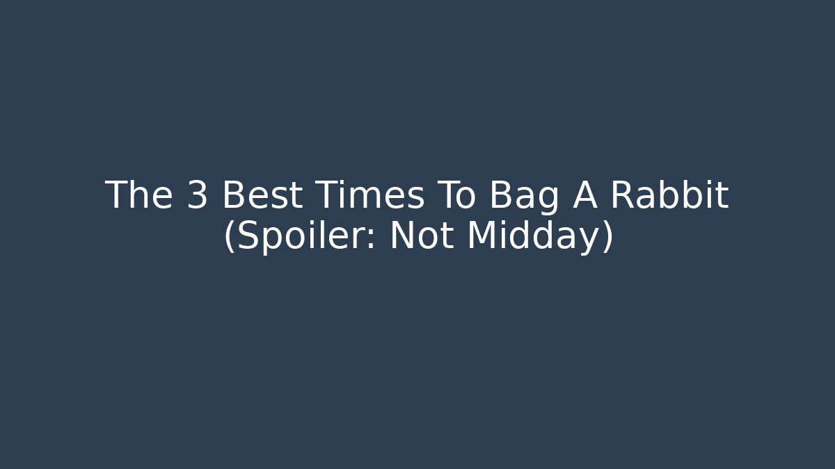 The 3 Best Times To Bag A Rabbit (Spoiler: Not Midday)