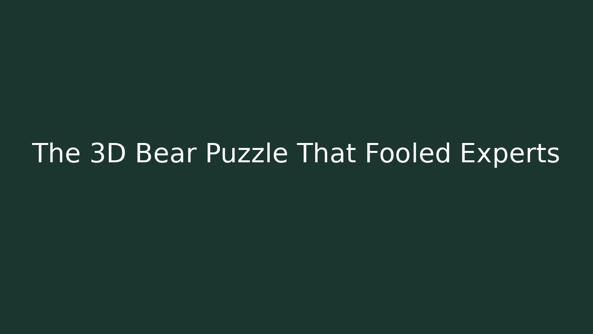 The 3D Bear Puzzle That Fooled Experts