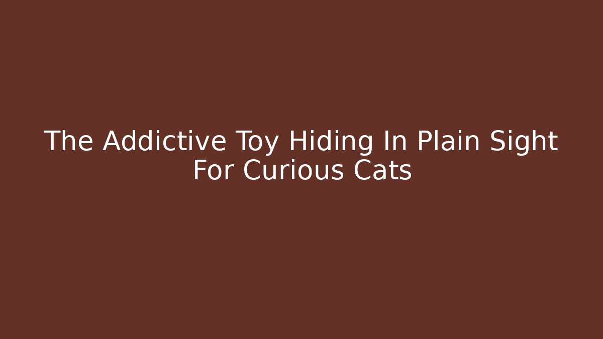 The Addictive Toy Hiding In Plain Sight For Curious Cats