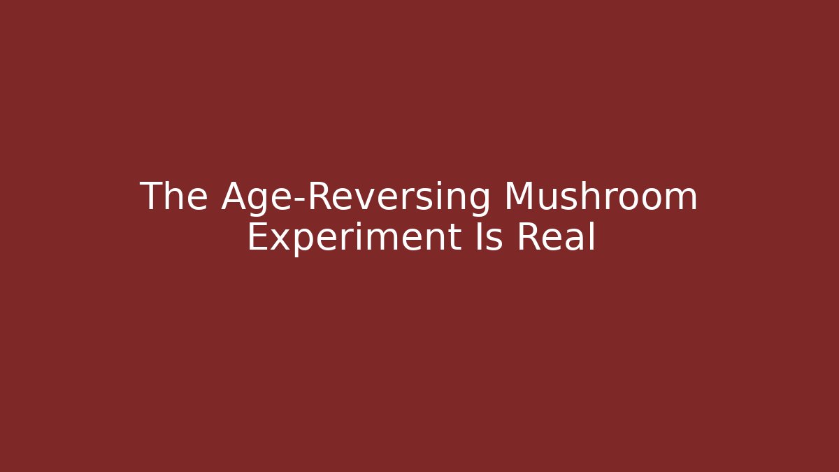 The Age-Reversing Mushroom Experiment Is Real