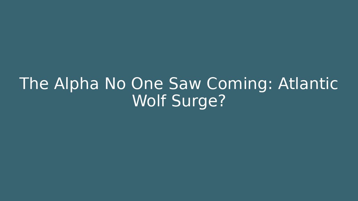 The Alpha No One Saw Coming: Atlantic Wolf Surge?