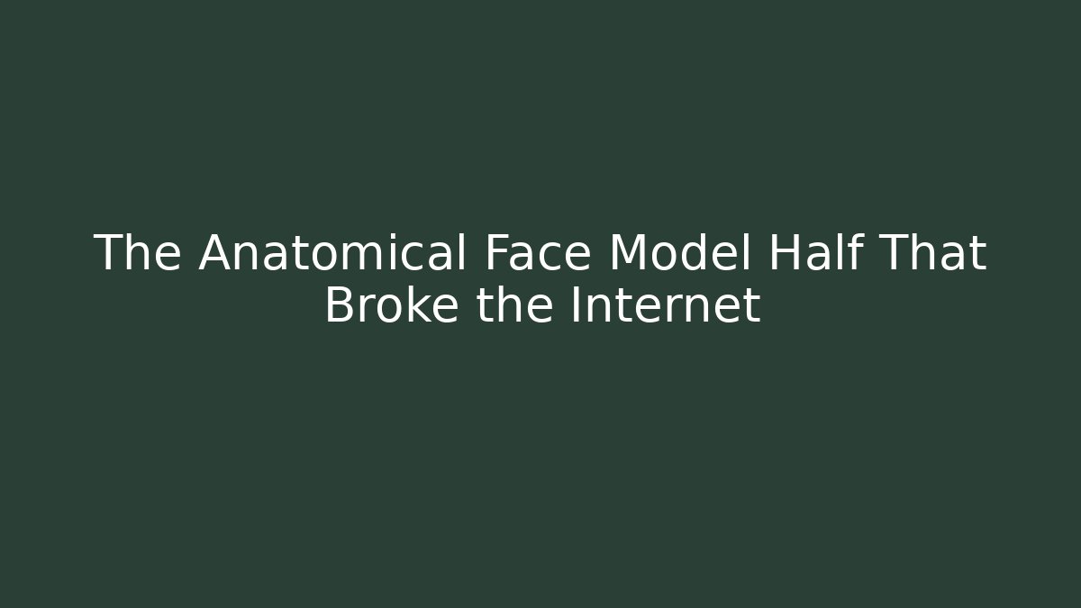 The Anatomical Face Model Half That Broke the Internet