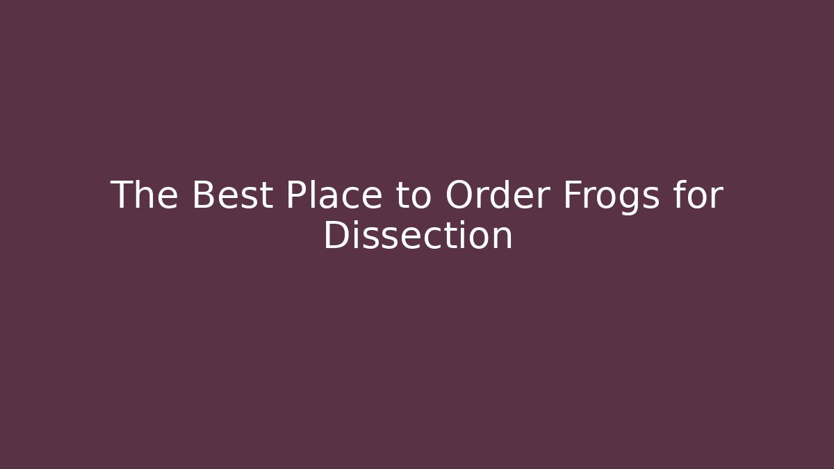 The Best Place to Order Frogs for Dissection - Create More Assets