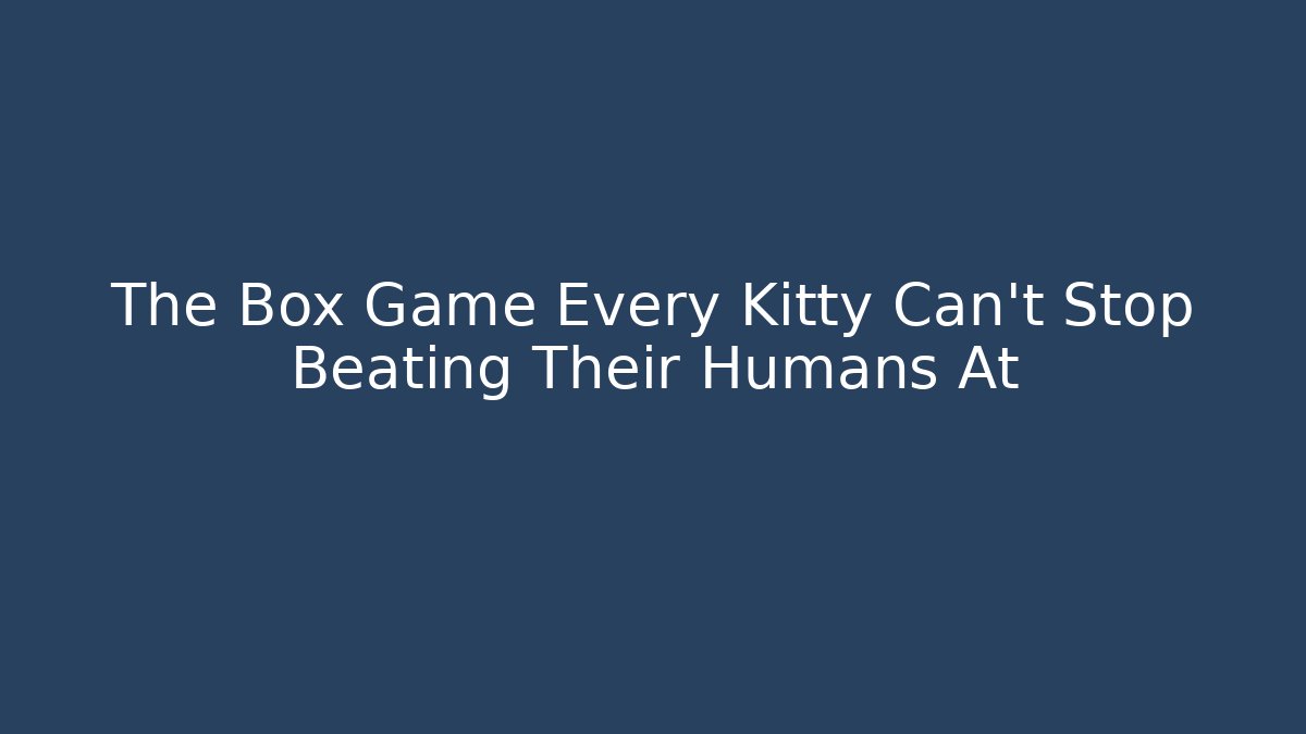 The Box Game Every Kitty Can't Stop Beating Their Humans At