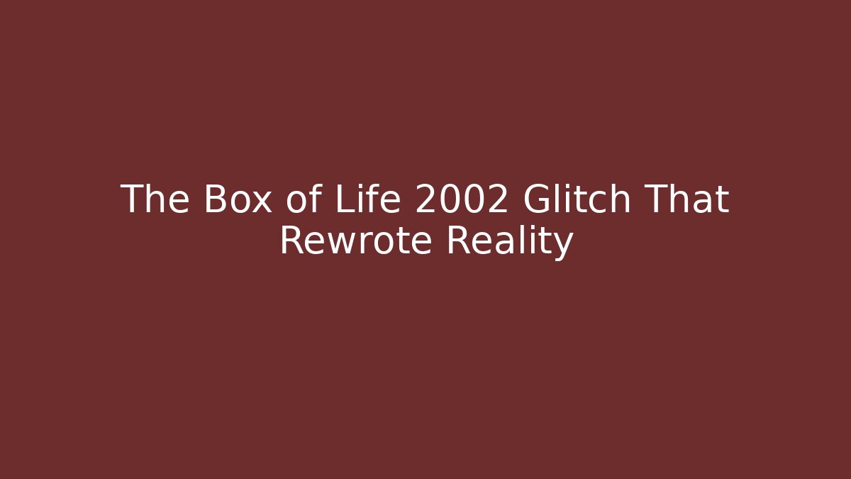The Box of Life 2002 Glitch That Rewrote Reality