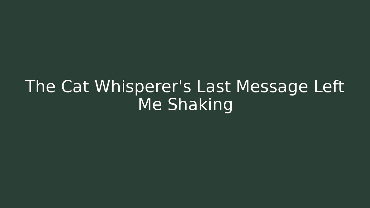 The Cat Whisperer's Last Message Left Me Shaking - Create More Assets