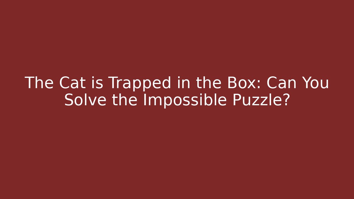 The Cat is Trapped in the Box: Can You Solve the Impossible Puzzle?