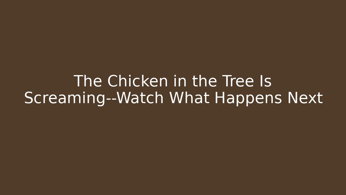 The Chicken in the Tree Is Screaming—Watch What Happens Next