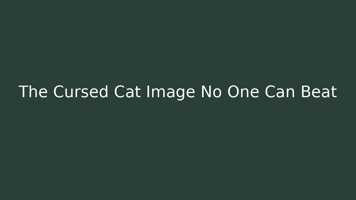 The Cursed Cat Image No One Can Beat