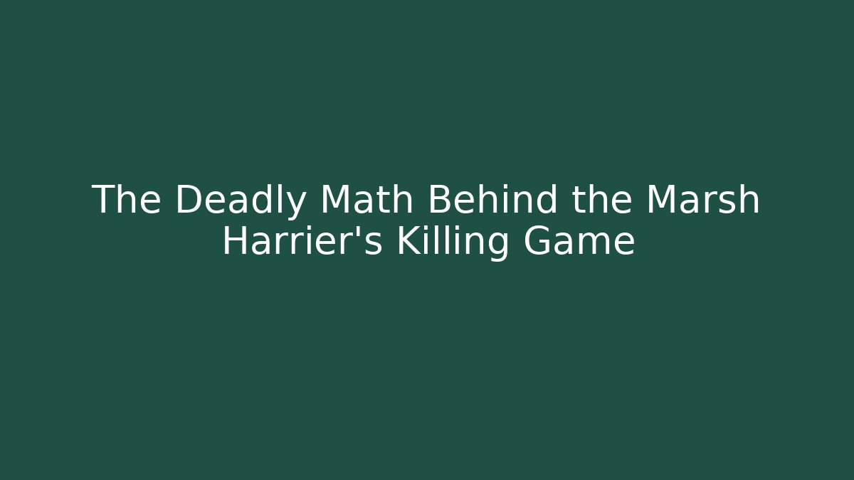 The Deadly Math Behind the Marsh Harrier's Killing Game