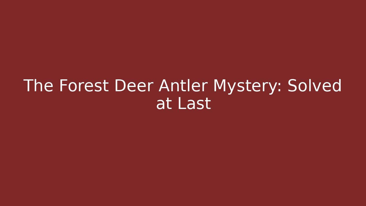 The Forest Deer Antler Mystery: Solved at Last