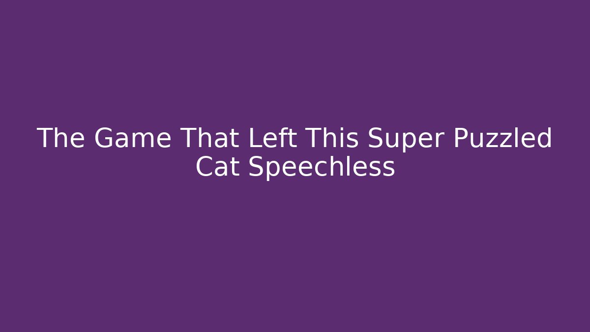 The Game That Left This Super Puzzled Cat Speechless