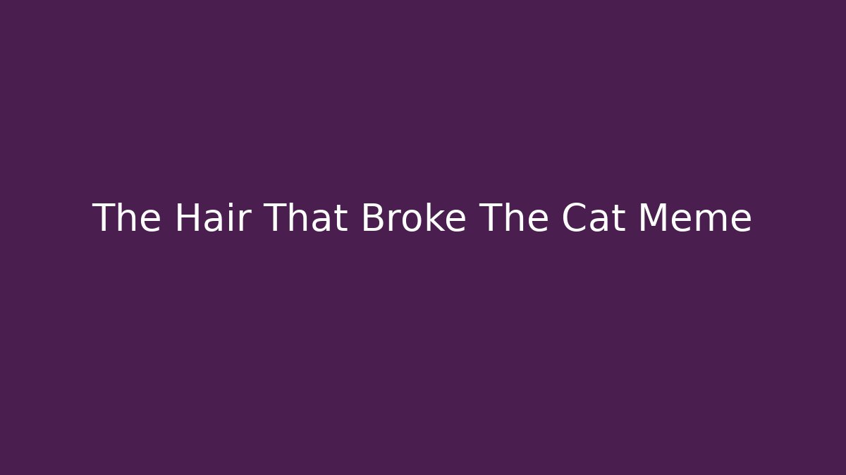 The Hair That Broke The Cat Meme