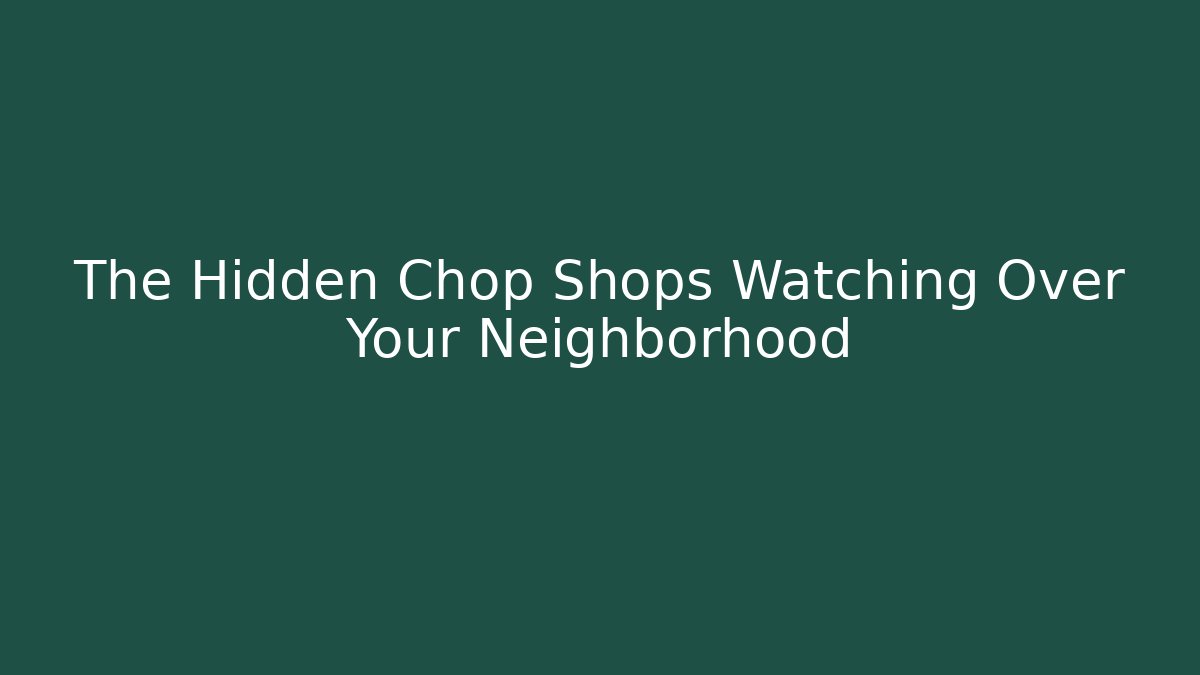 The Hidden Chop Shops Watching Over Your Neighborhood