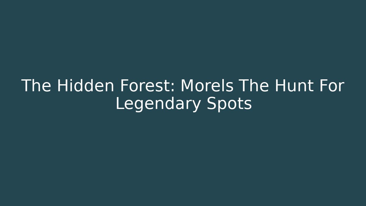 The Hidden Forest: Morels The Hunt For Legendary Spots