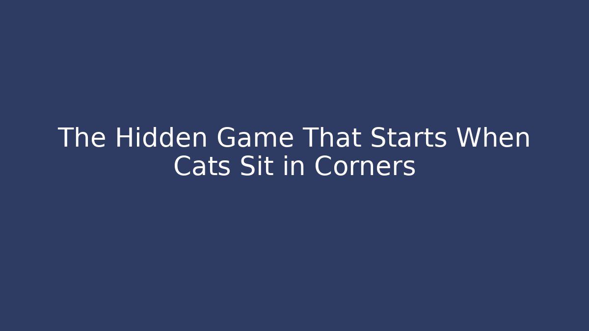 The Hidden Game That Starts When Cats Sit in Corners