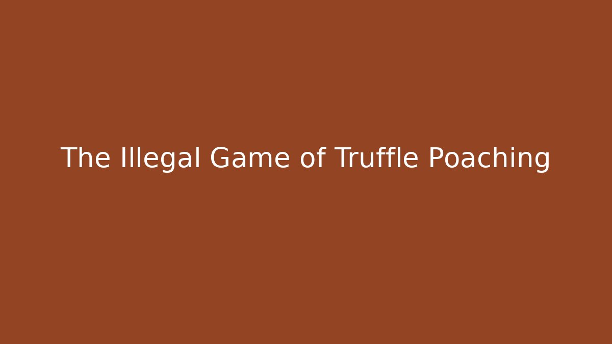 The Illegal Game of Truffle Poaching