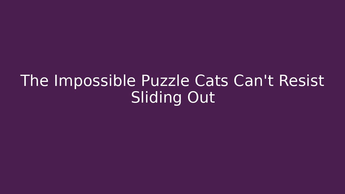 The Impossible Puzzle Cats Can't Resist Sliding Out