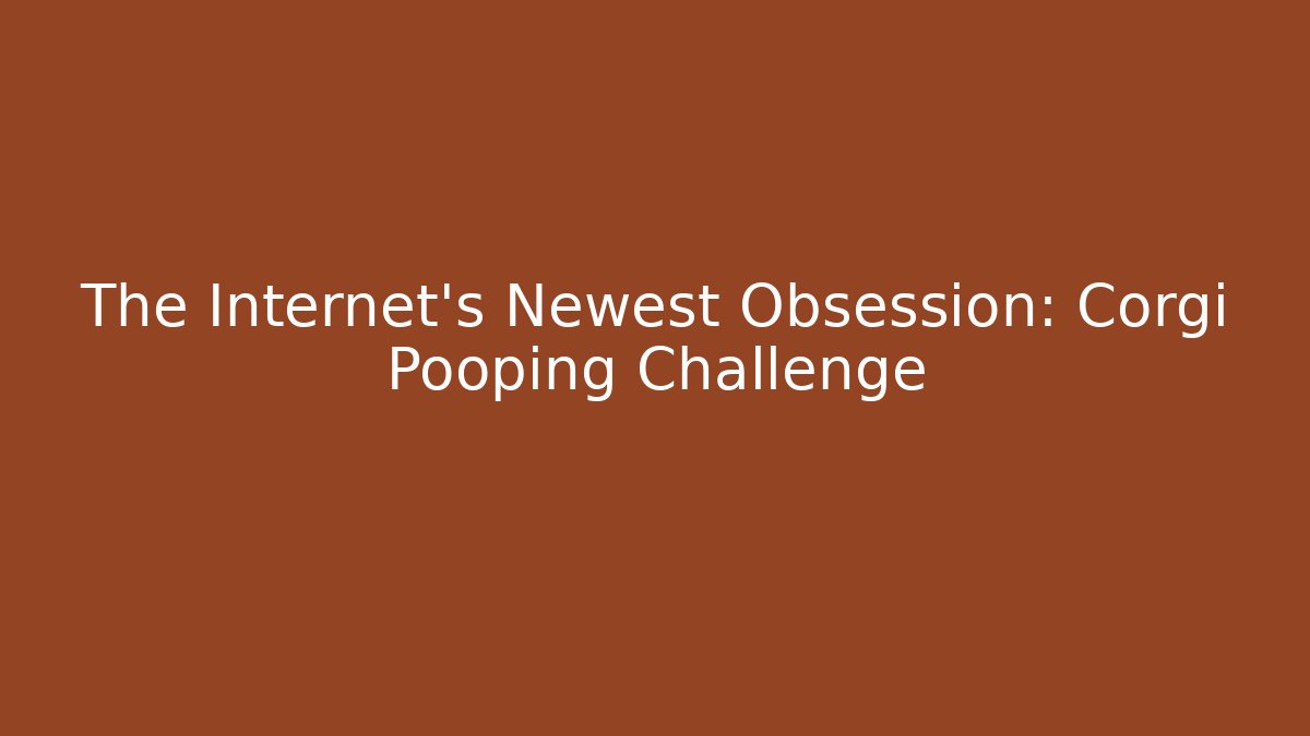 The Internet's Newest Obsession: Corgi Pooping Challenge