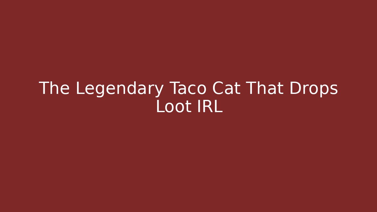 The Legendary Taco Cat That Drops Loot IRL
