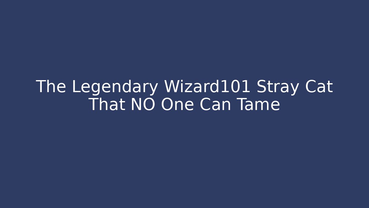 The Legendary Wizard101 Stray Cat That NO One Can Tame