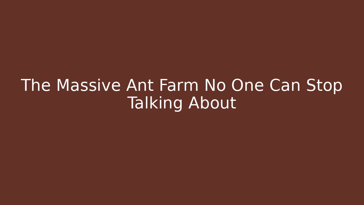 The Massive Ant Farm No One Can Stop Talking About
