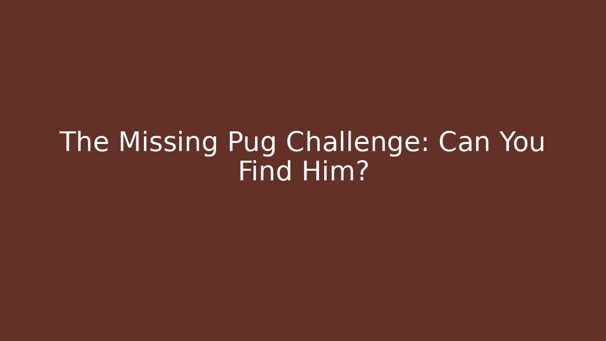 The Missing Pug Challenge: Can You Find Him?